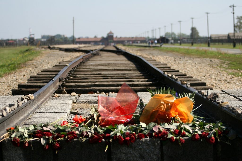 Auschwitz Facts