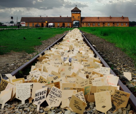 Auschwitz-Birkenau &amp; Monowitz Tour from Krakow