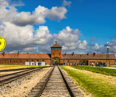 From Krakow: Auschwitz-Birkenau Guided Tour
